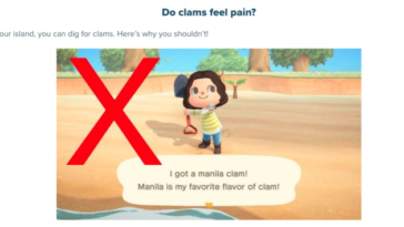 Do clams feel pain?