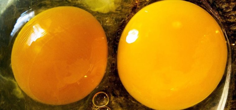 Do eggs actually expire?