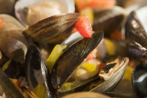 Do frozen clams come back to life?