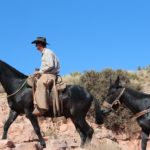 Do mules spook?