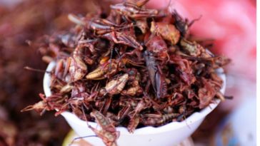 Do people eat grasshoppers in Mexico?