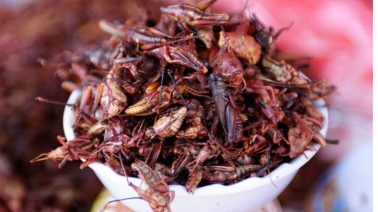 Do people eat grasshoppers in Mexico?
