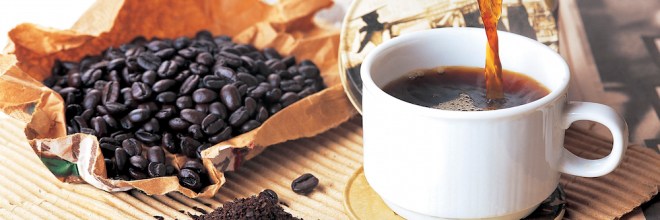 Do persimmons make you poop?