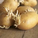 Do potatoes go bad after cutting?