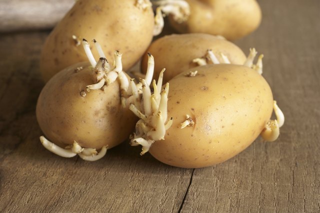 Do potatoes go bad after cutting?