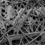 Do they sell bon bons?