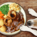 Do vets approve homemade dog food?