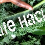 Do you blend kale stems?