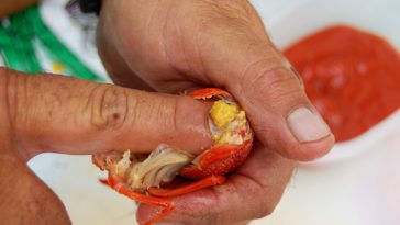 Do you eat crawfish poop?