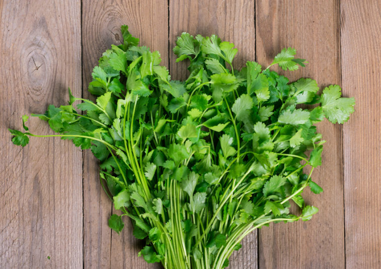 Do you have to cook dried cilantro?