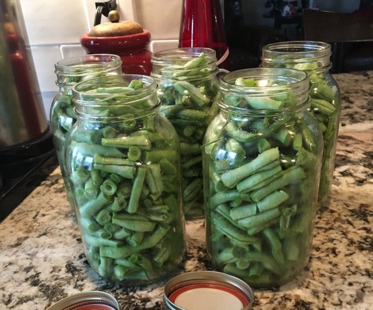 Do you have to pressure cook green beans?