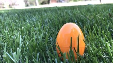 Do you hide real eggs on Easter?