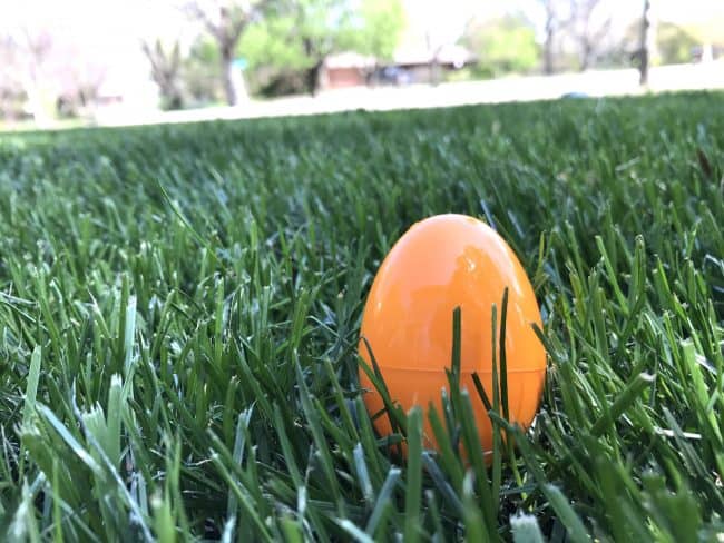 Do you hide real eggs on Easter?