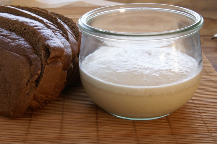 Do you need to proof active dry yeast?