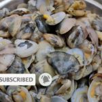 Do you open clams before cooking?