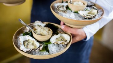 Do you swallow or chew oysters?