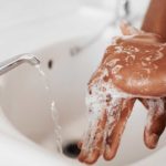 Do you wash endives?