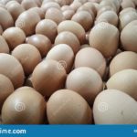 Does 7/11 sell fresh eggs?