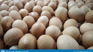 Does 7/11 sell fresh eggs?