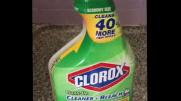Does Clorox clean Up kill mold?