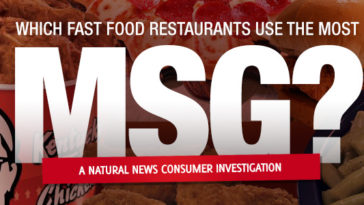 Does KFC use MSG?