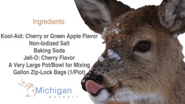 Does Kool Aid attract deer?