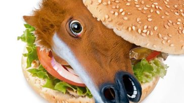 Does McDonald's use horse meat?