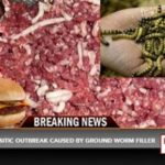 Does Sonic use fake meat?