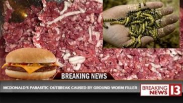 Does Sonic use fake meat?