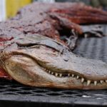 Does Walmart sell alligator meat?