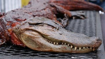 Does Walmart sell alligator meat?