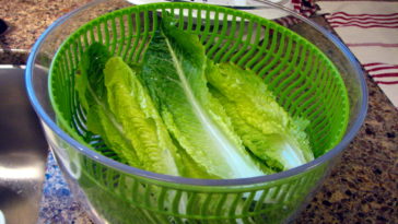 Does a salad spinner clean lettuce?