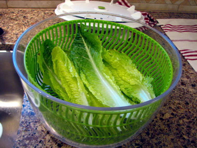 Does a salad spinner clean lettuce?