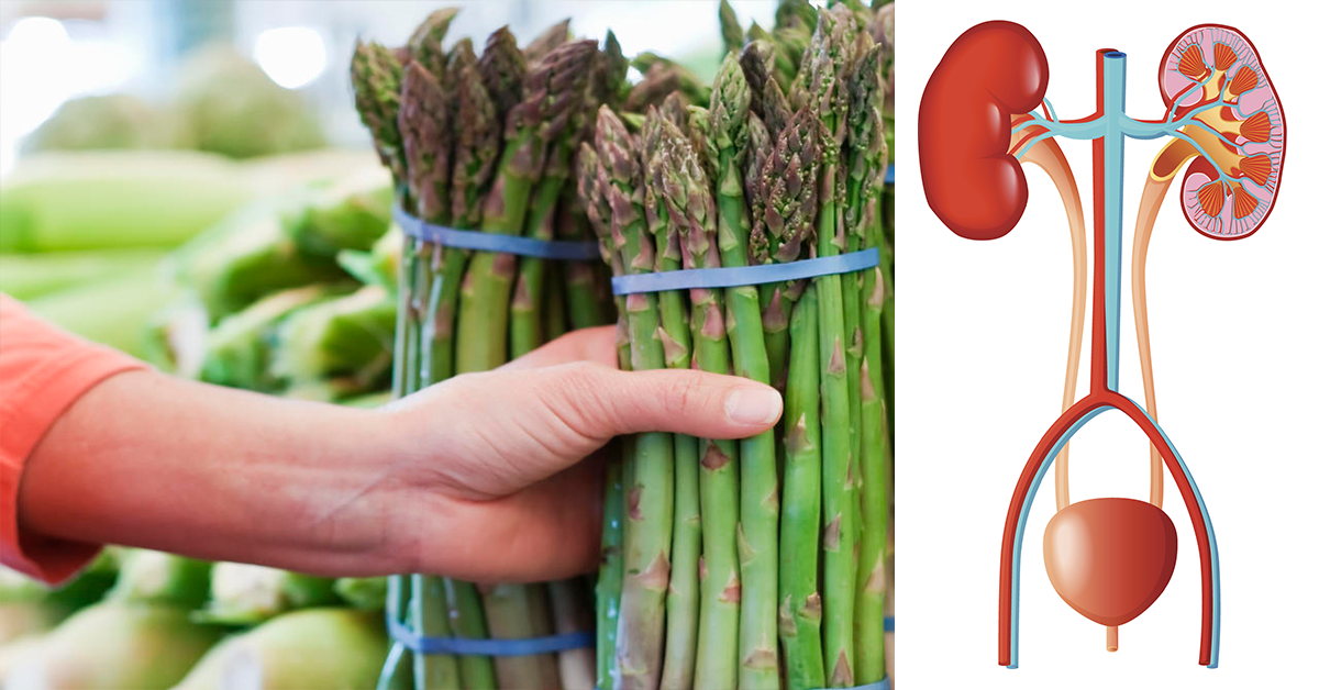 Does asparagus clean out your kidneys?