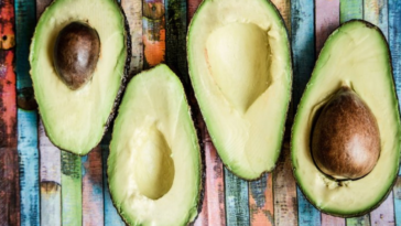 Does avocado mean testicle?