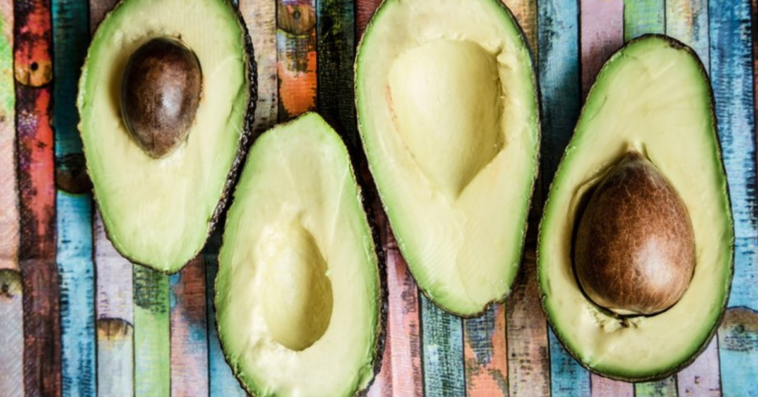 Does avocado mean testicle?