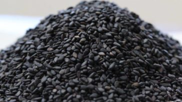 Does black sesame increase weight?