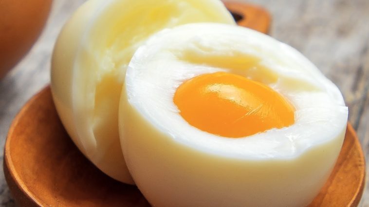 Does boiled eggs burn belly fat?