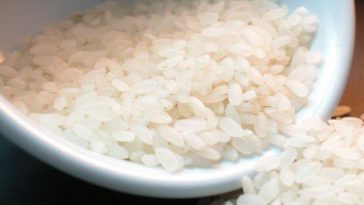 Does chicken and rice settle a dog's stomach?