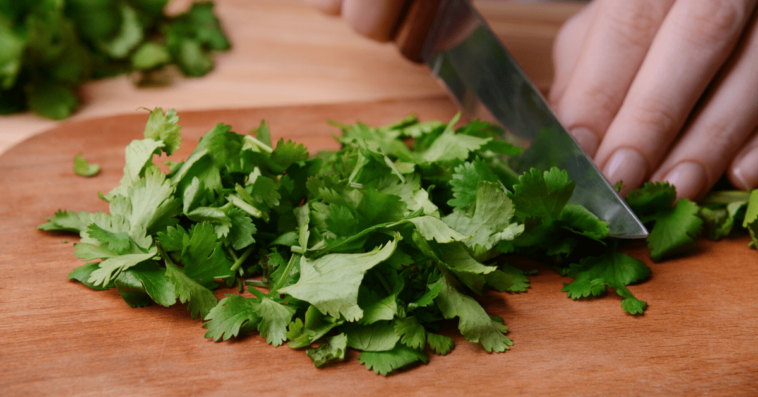 Does cilantro go bad in the fridge?