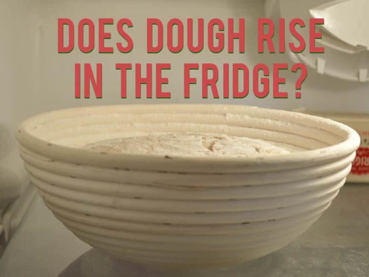 Does dough rise in the fridge?