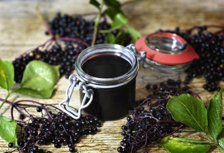 Does elderberry syrup have a laxative effect?