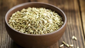 Does fennel increase breast size?