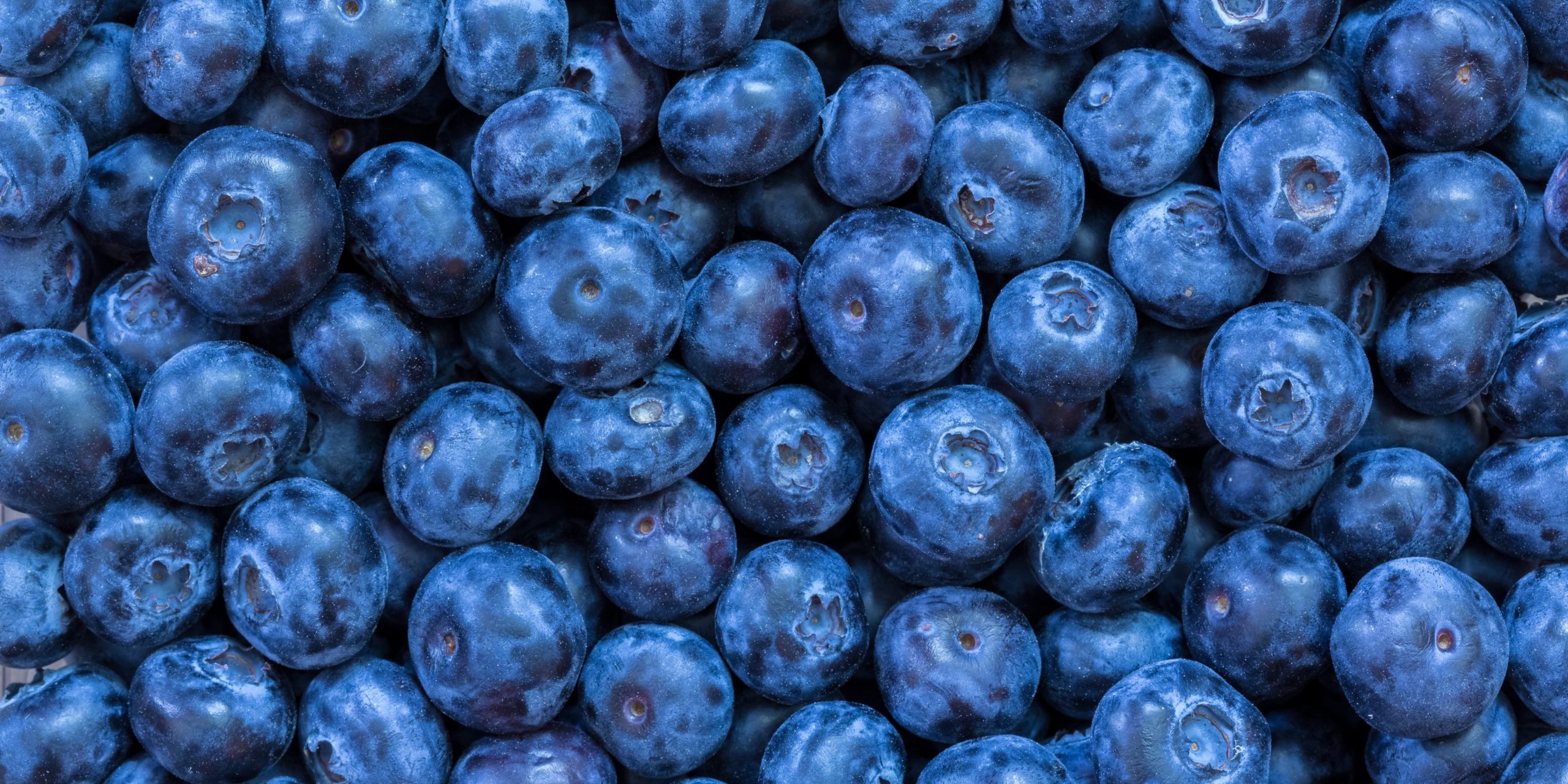 Does freezing blueberries destroy it antioxidants?
