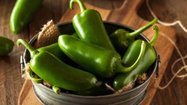 Does freezing jalapenos make them hotter?
