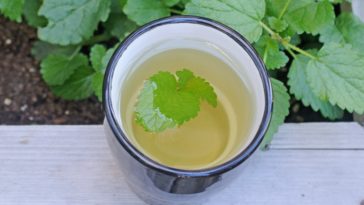 Does lemon balm make you sleepy?