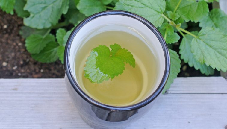 Does lemon balm make you sleepy?