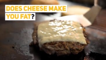 Does mac and cheese make you fat?