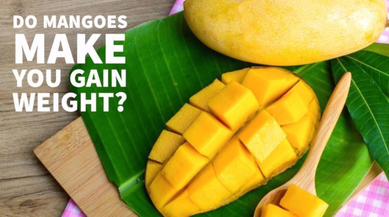 Does mango make you gain weight?