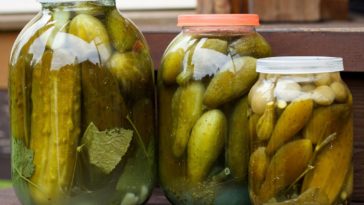 Does pickle juice burn fat?